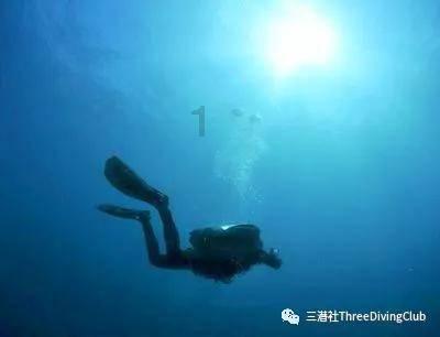 龙腾世纪审判